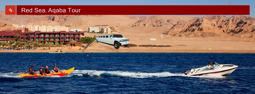 Red Sea  Aqaba Tour
